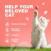 Flea Treatment for Cats Daily Oral Cat Flea and Tick Treatment Chews Chewable Kitten Flea Treatment Soft Treats for All Breeds & Ages Natural Chicken